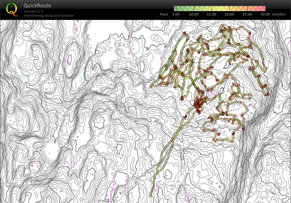 Skogsynfaring (2014-06-01)