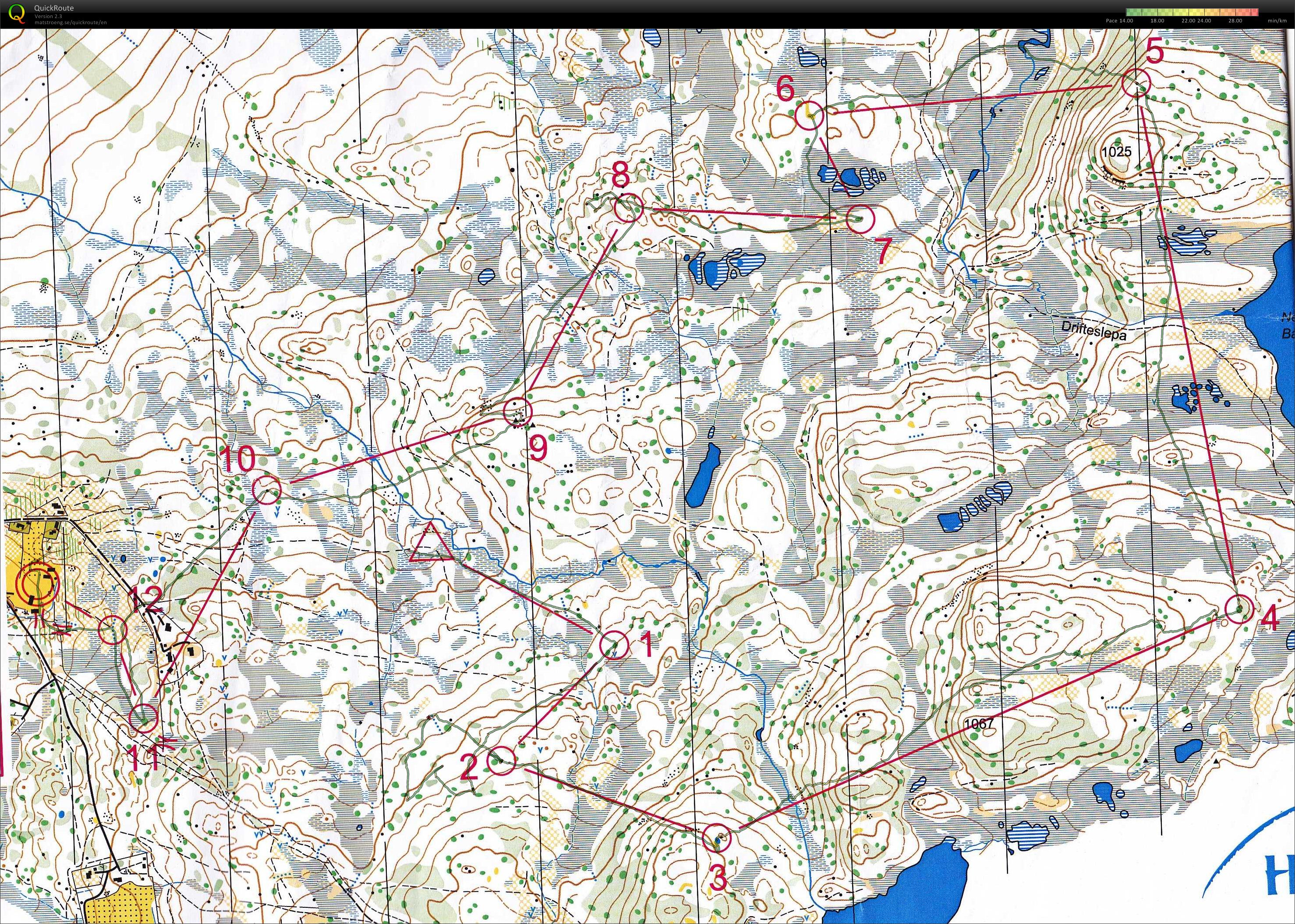 KM Nesbyen - Langdistanse (2010-09-04)