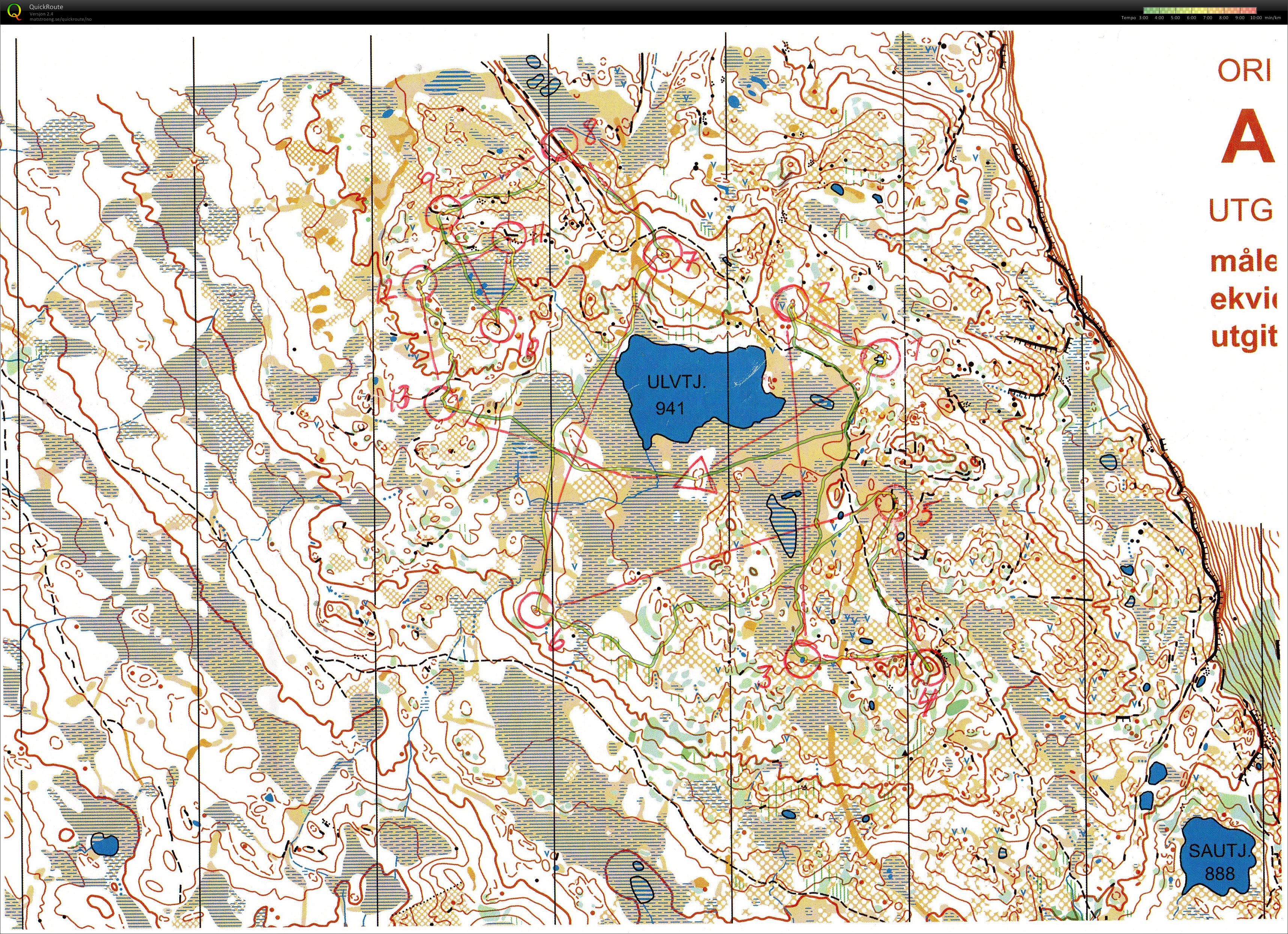 Trening Austlid (29.07.2015)