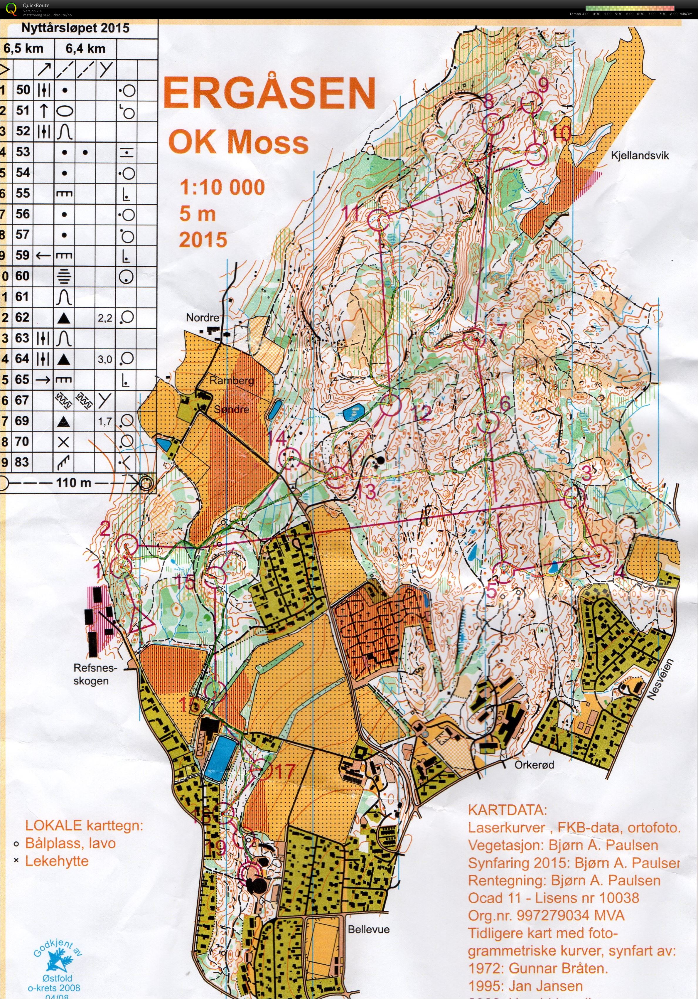 Nyttårsløpet (2015-12-31)