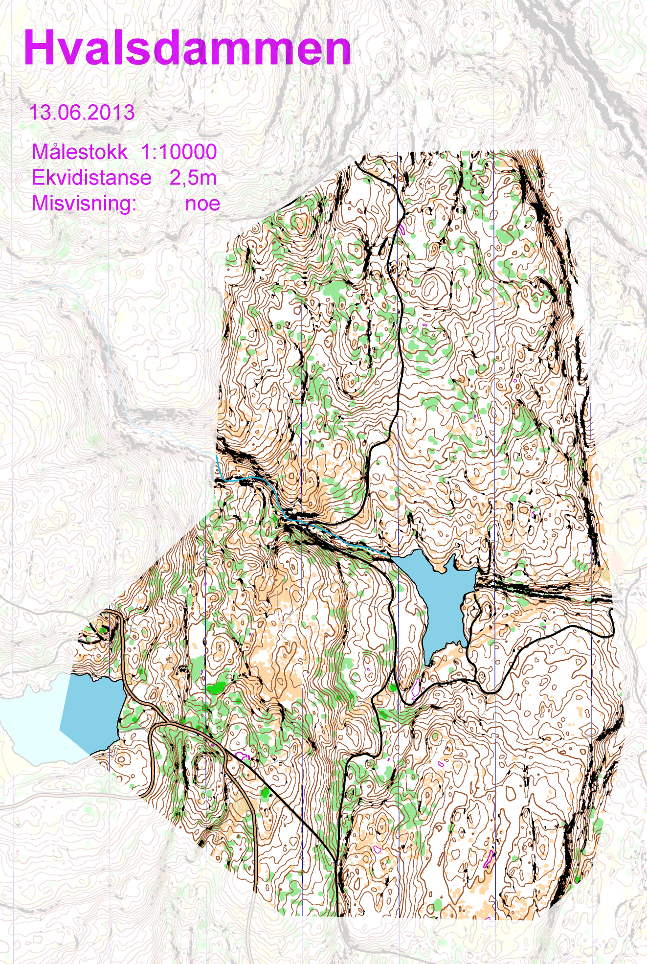 Hvalsdammen (13.06.2013)