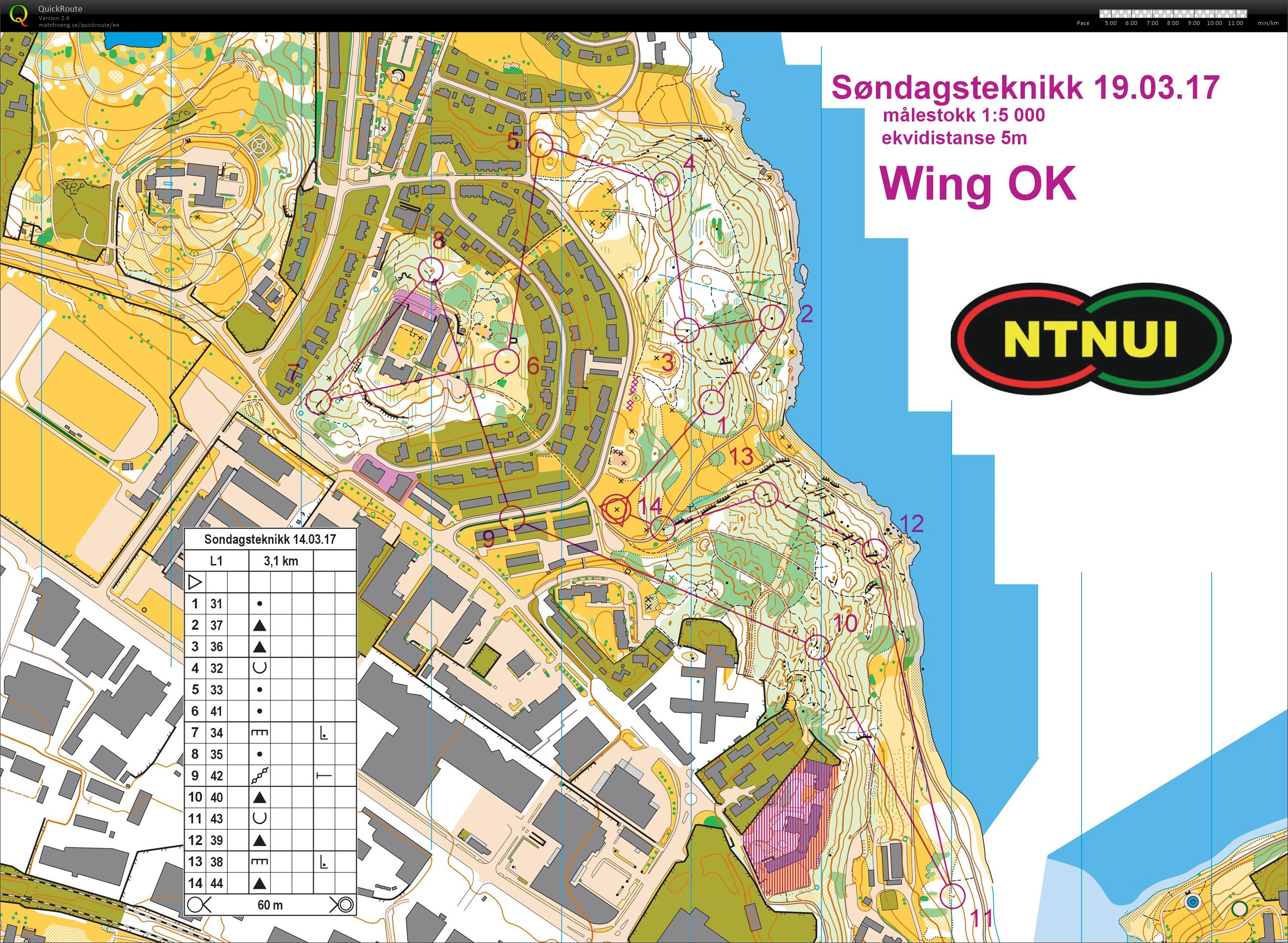 Søndagsteknikk: Skogssprint (2017-03-19)