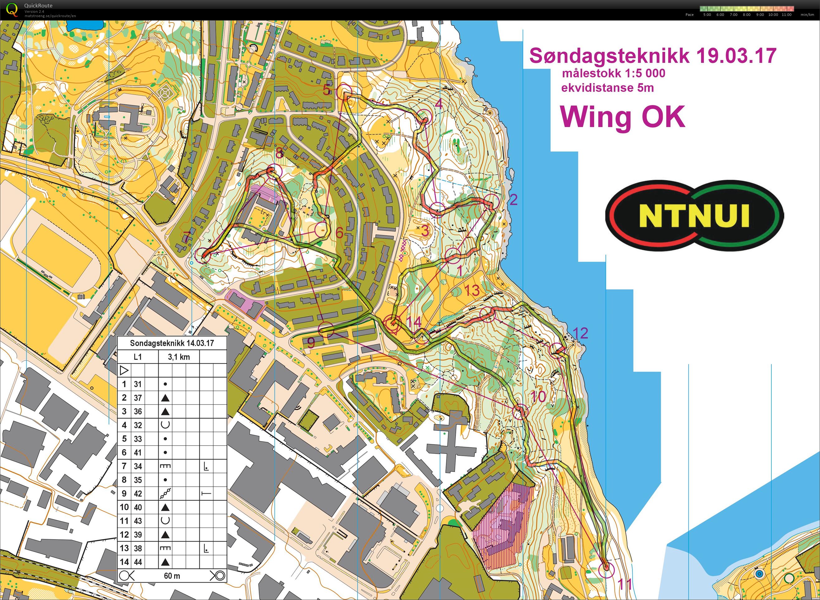 Søndagsteknikk: Skogssprint (19.03.2017)