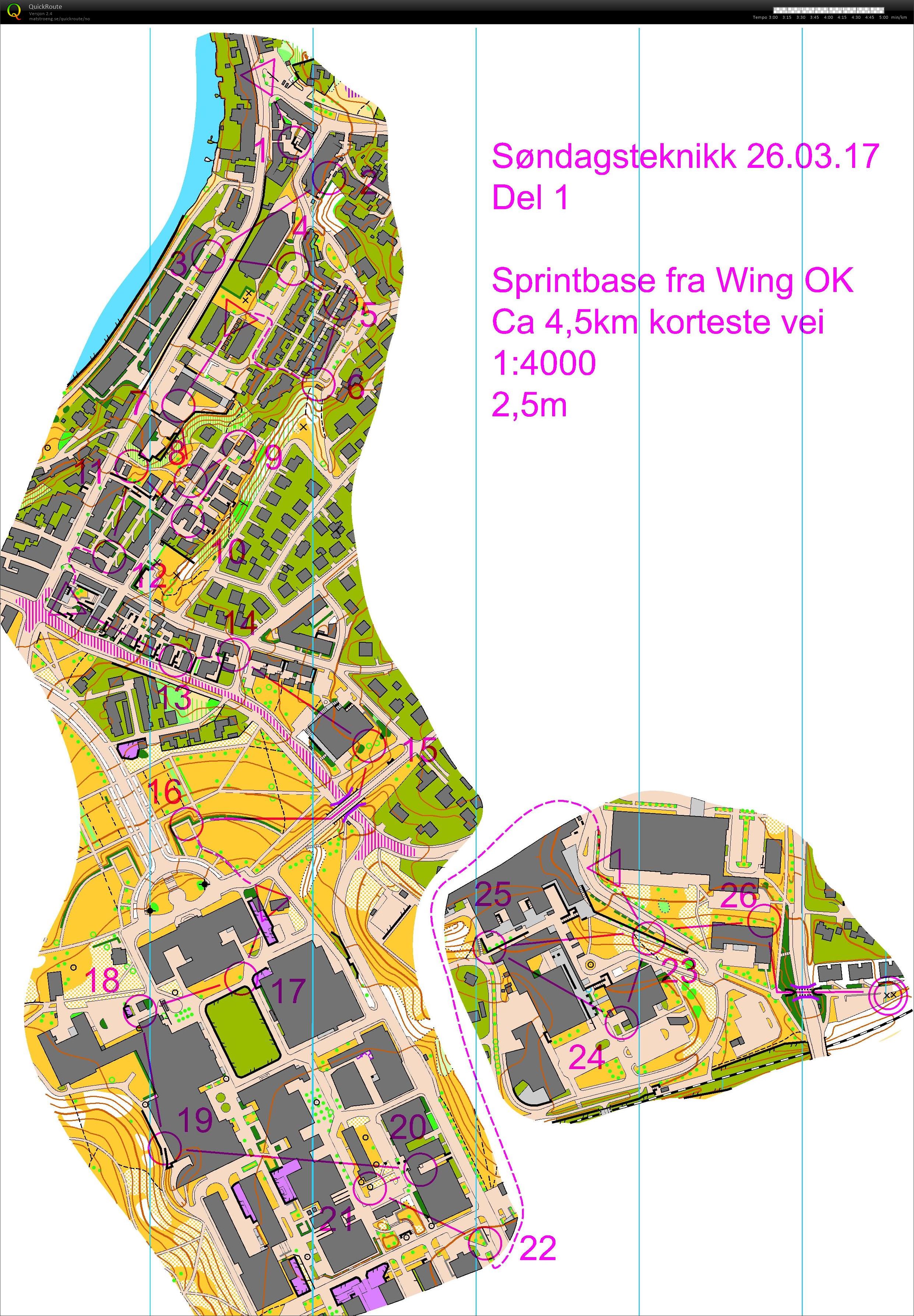 Søndagsteknikk sprint-ints del 1 (26.03.2017)