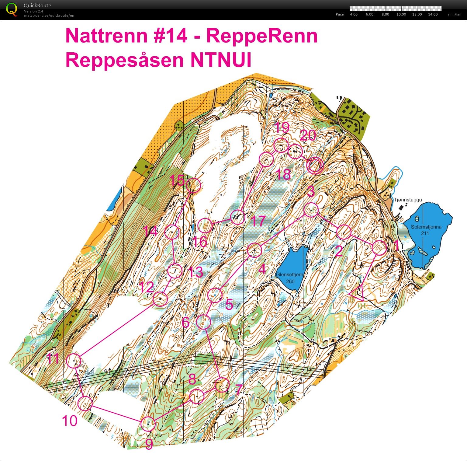 Nattrenn #14 - ReppeRenn (05.04.2017)