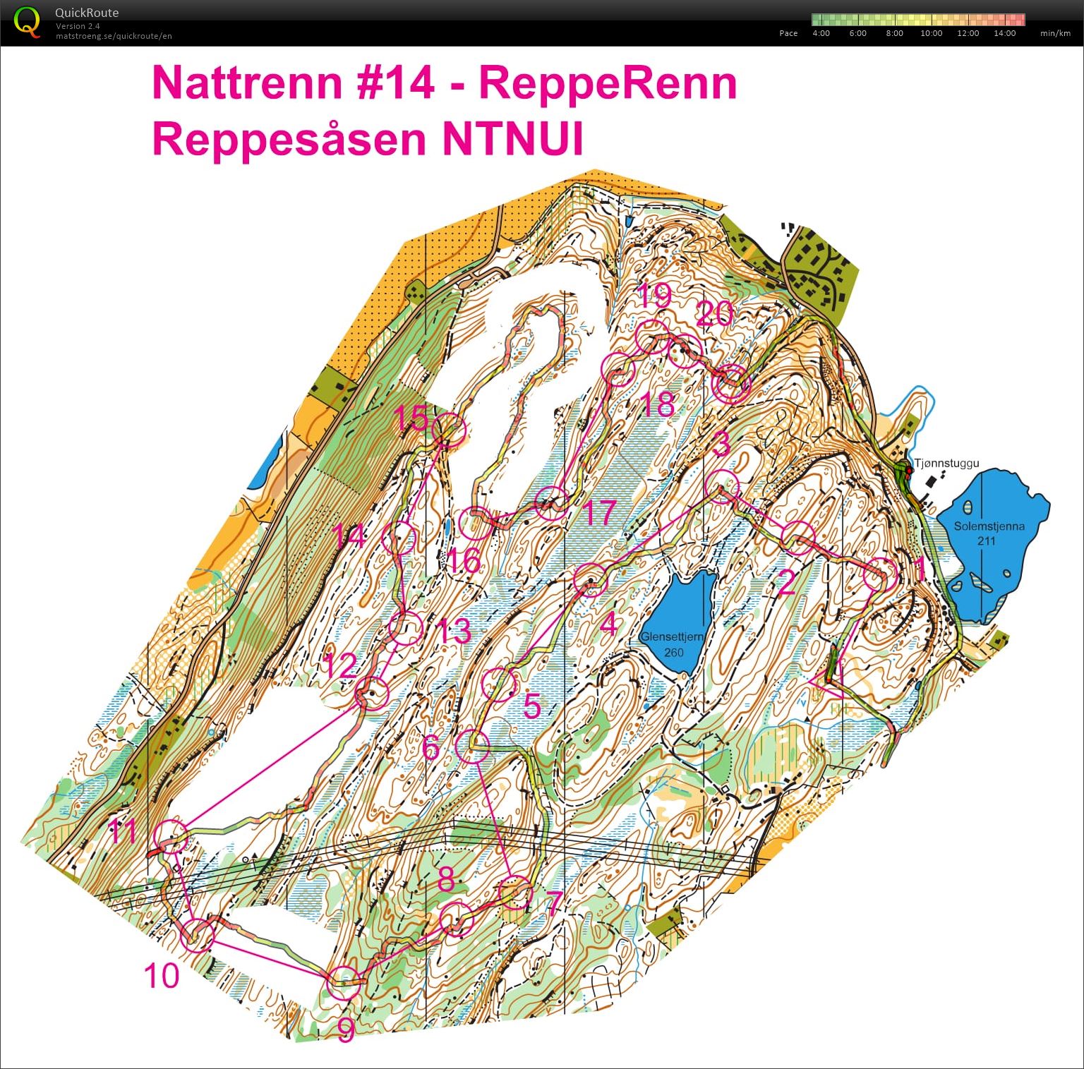 Nattrenn #14 - ReppeRenn (05.04.2017)