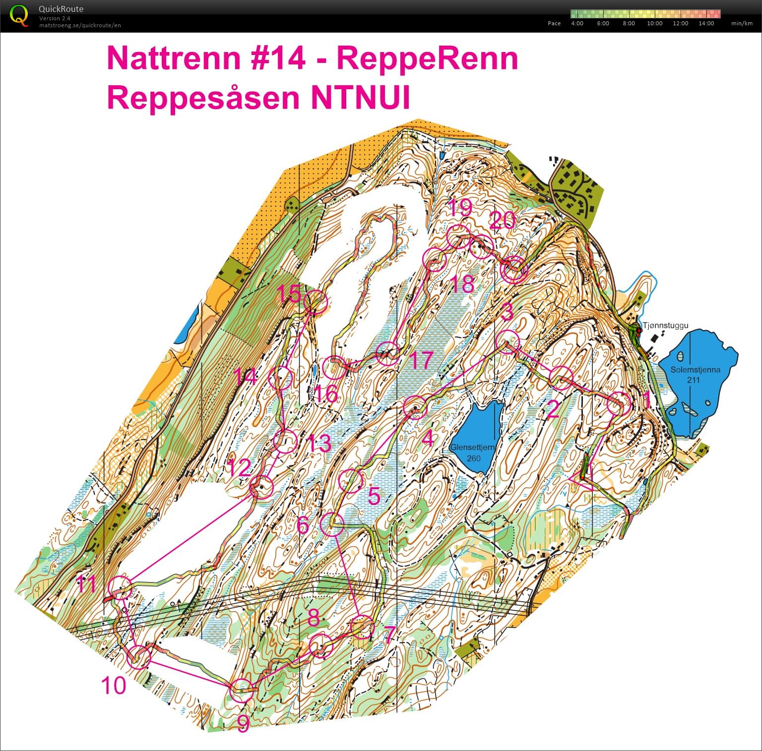 Nattrenn #14 - ReppeRenn (05.04.2017)