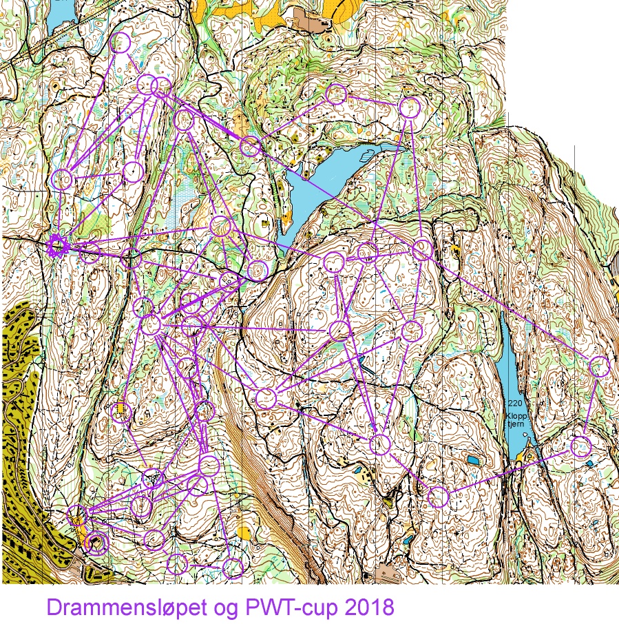 Drammensløpet-18 (19-08-2018)