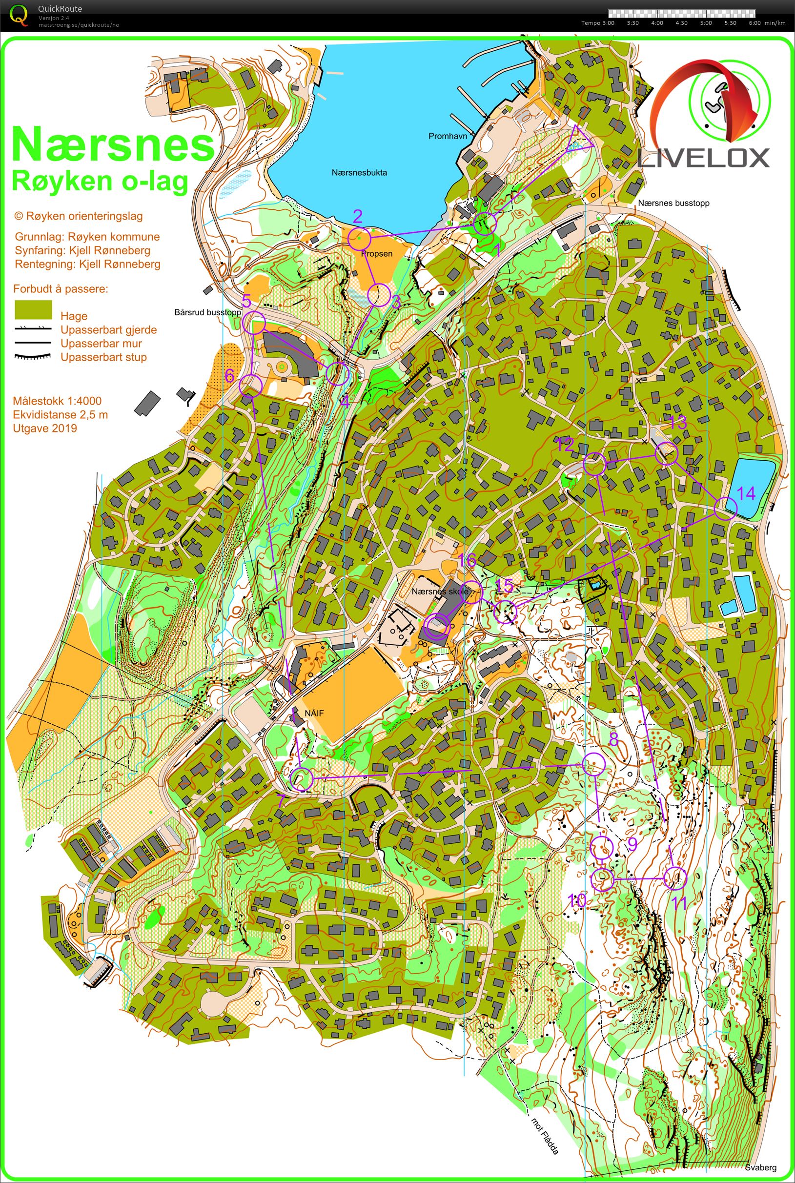 KM sprint Buskerud (2019-05-01)