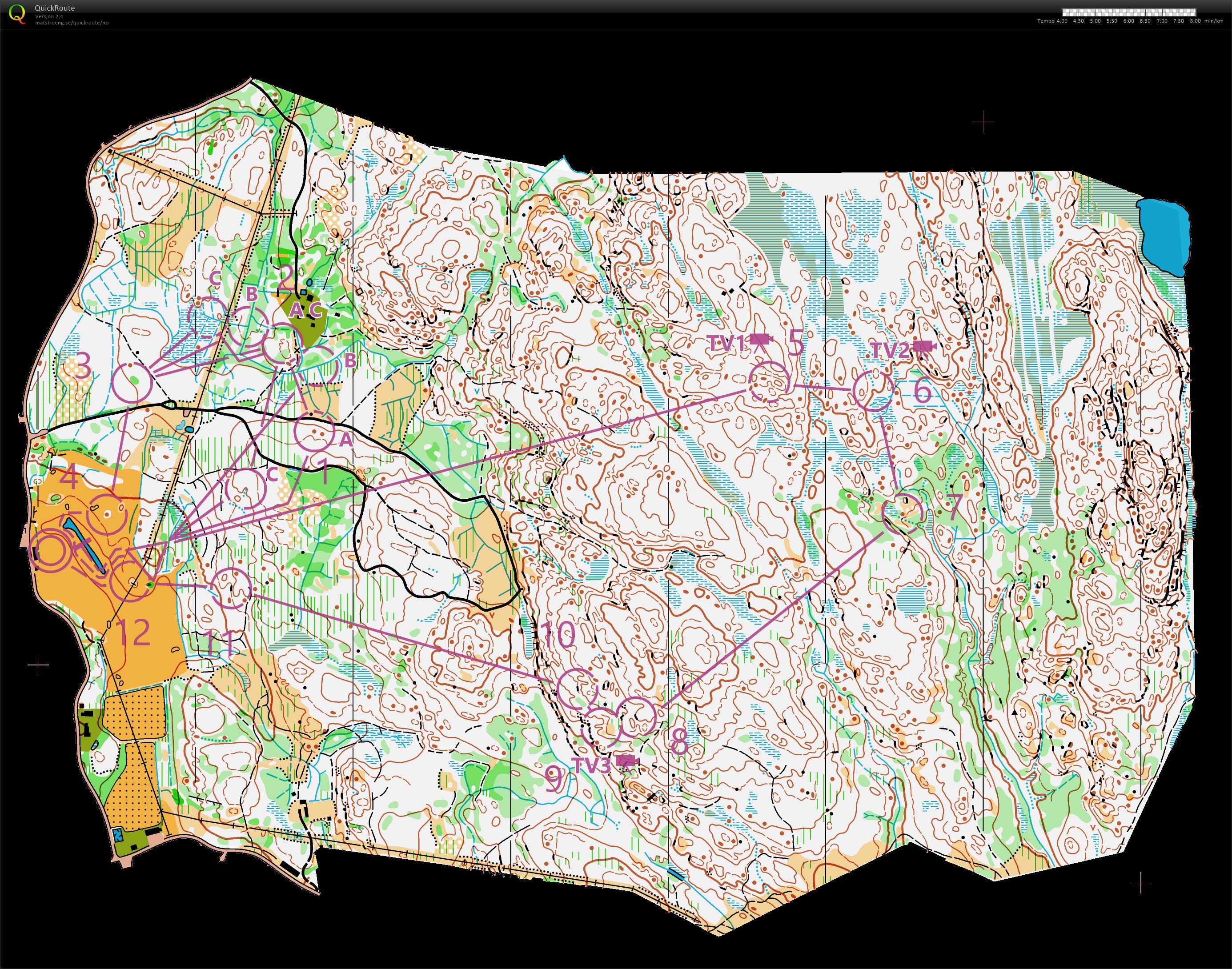 WOC Relay - Women leg 3 (Prerunner) (17/08/2019)