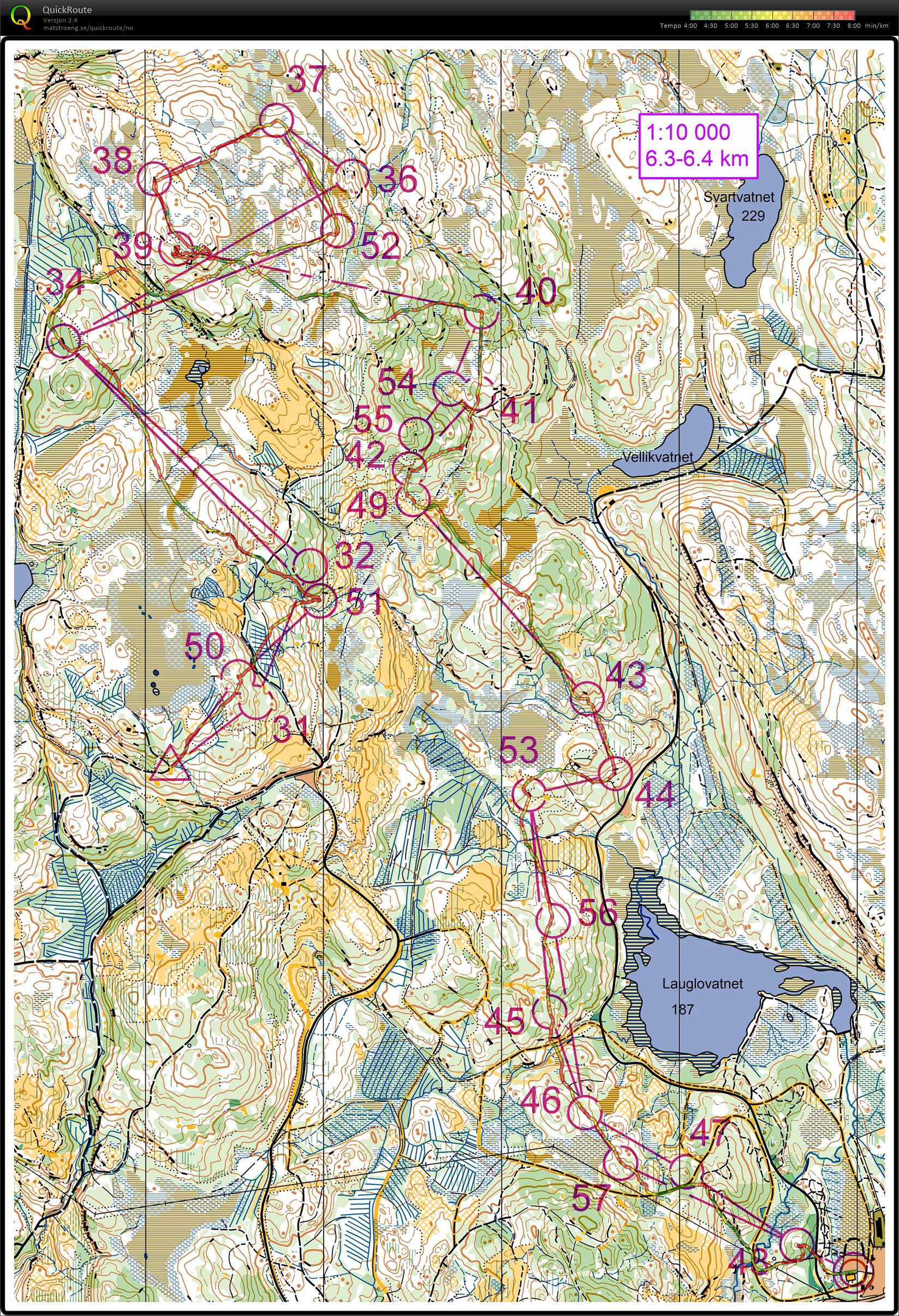 nattRenn Ringvål (06/11/2020)