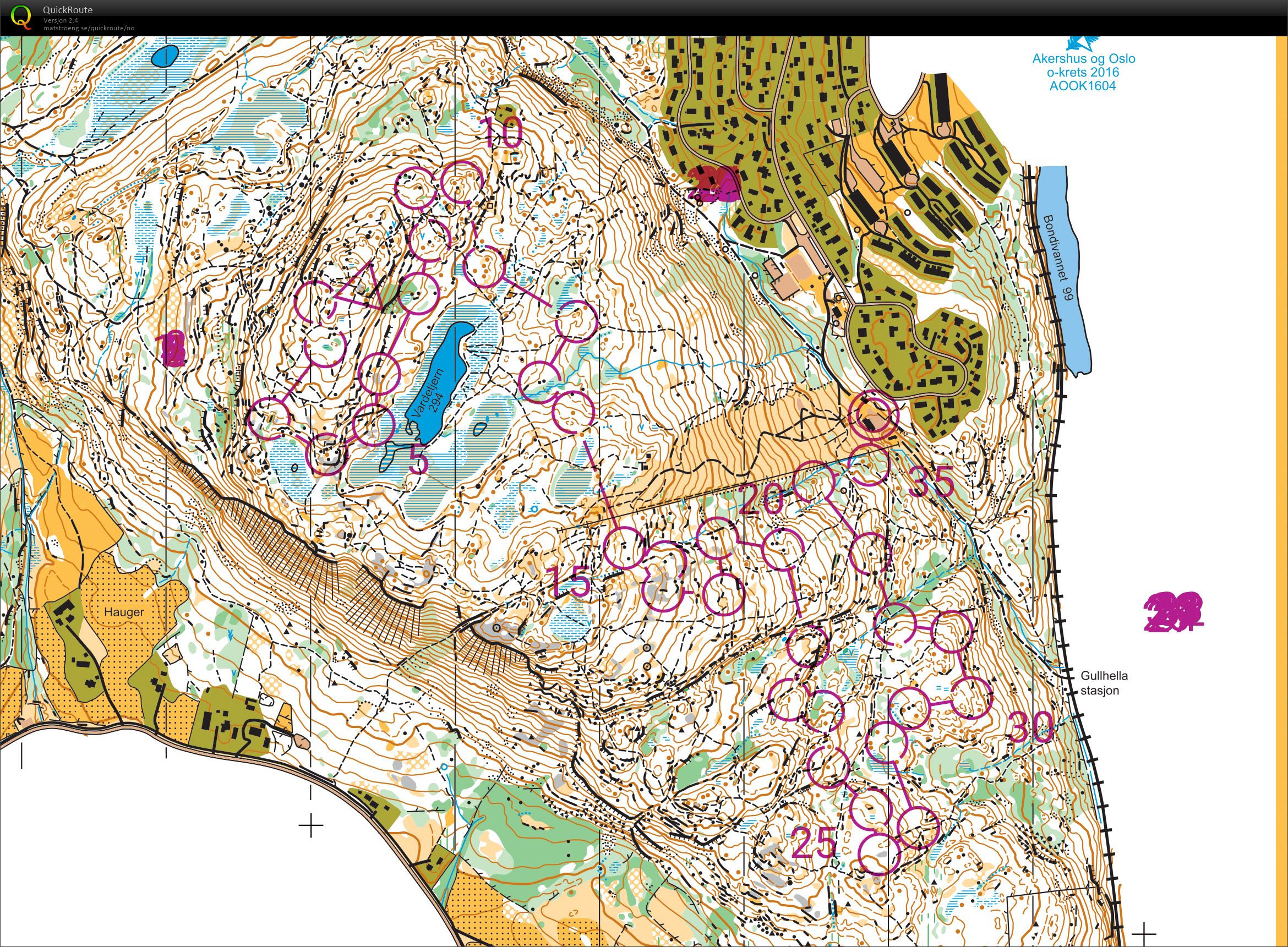 Downhill postplukk Vardåsen (18.06.2021)