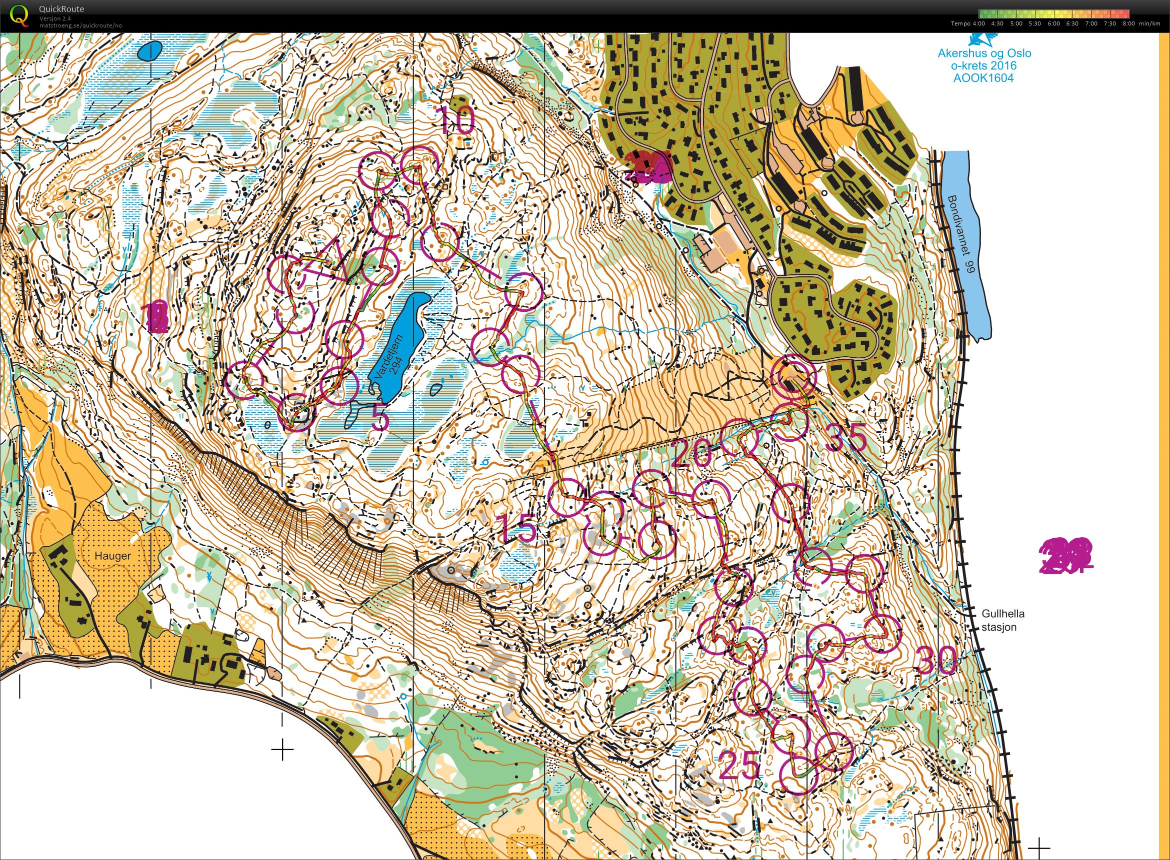 Downhill postplukk Vardåsen (18.06.2021)