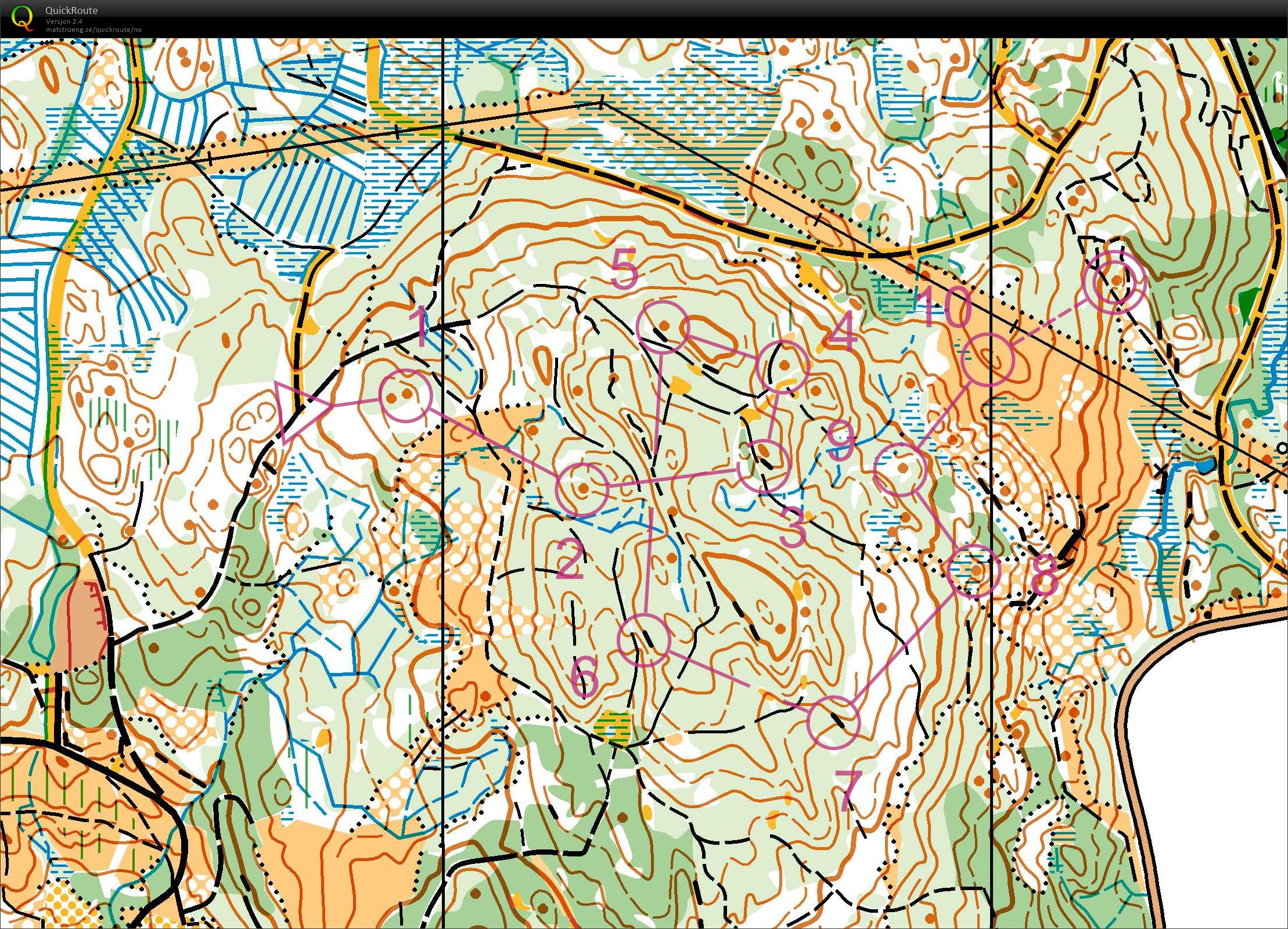 Onstek Ringvål microsprint (15-09-2021)