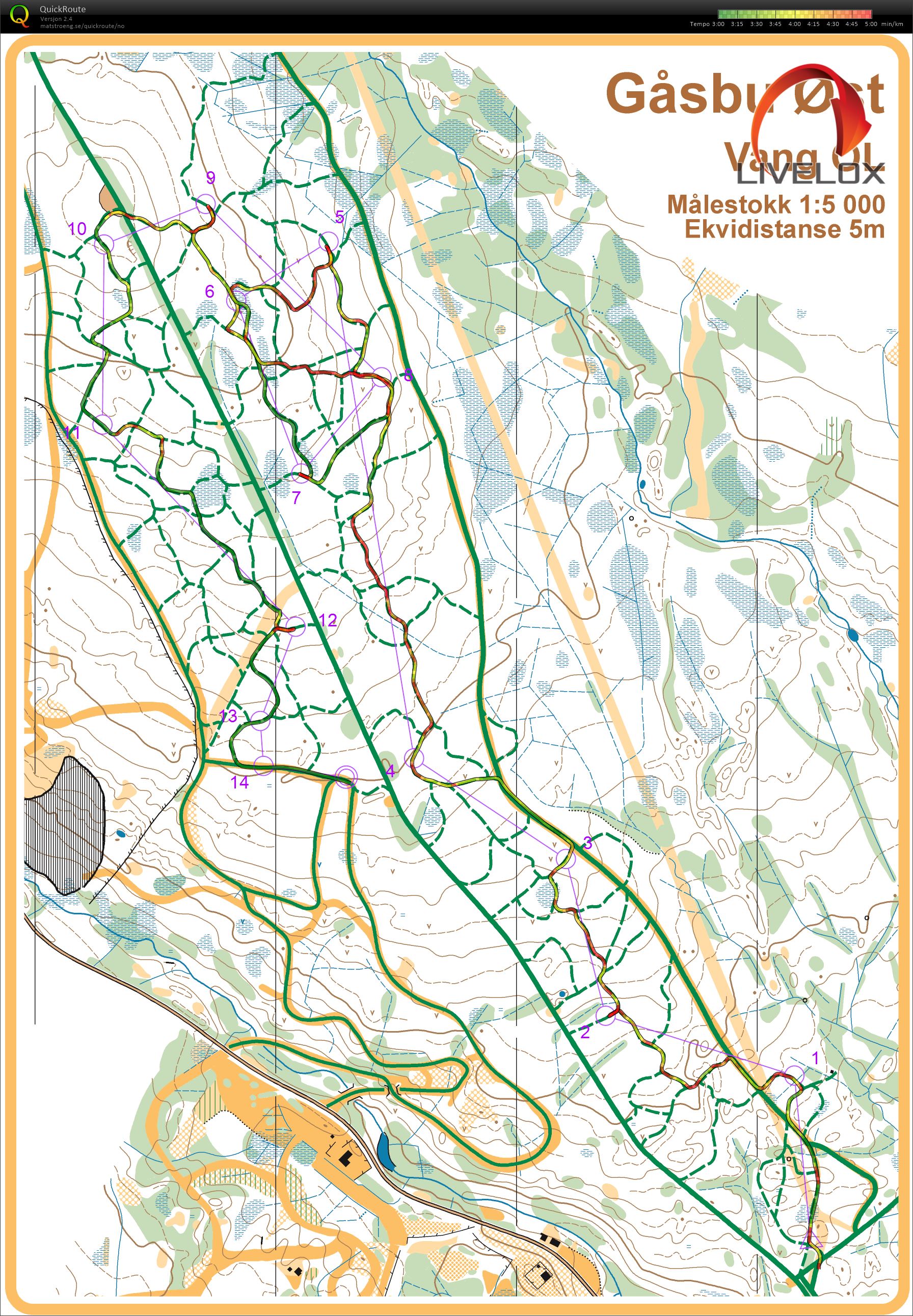 Ski-o NC Gåsbu (2022-01-08)