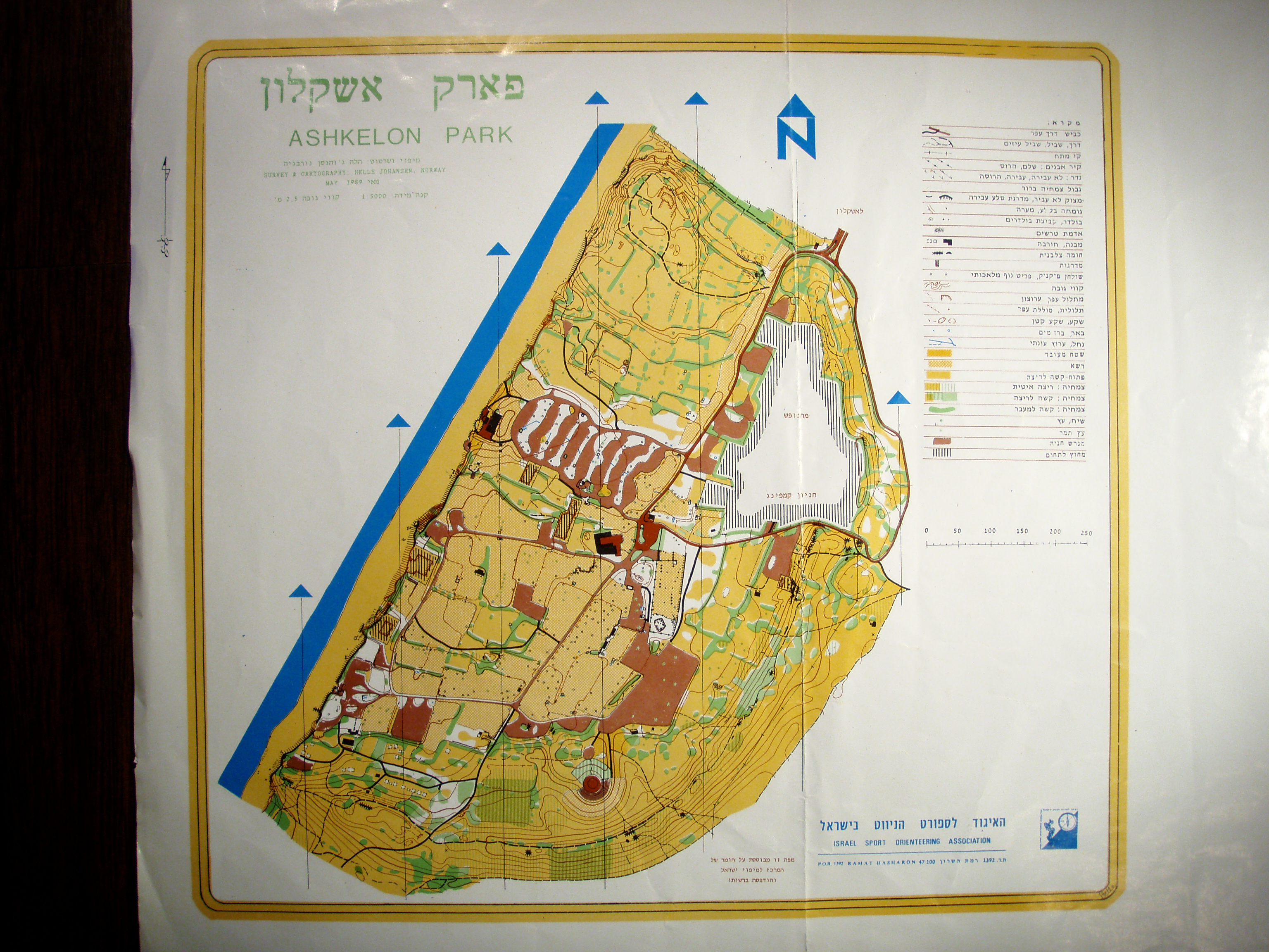 Ashkelon park (20.05.1989)