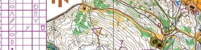 Sørlandsgaloppen løp 2