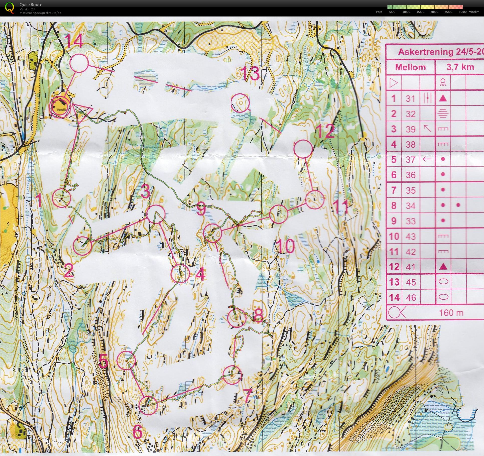 Trening Vestlia (28-05-2012)