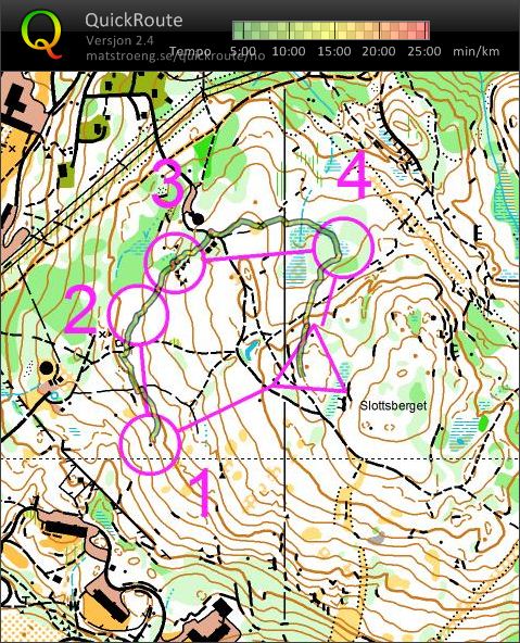 Trening O-intervall kart 1 (17.07.2012)