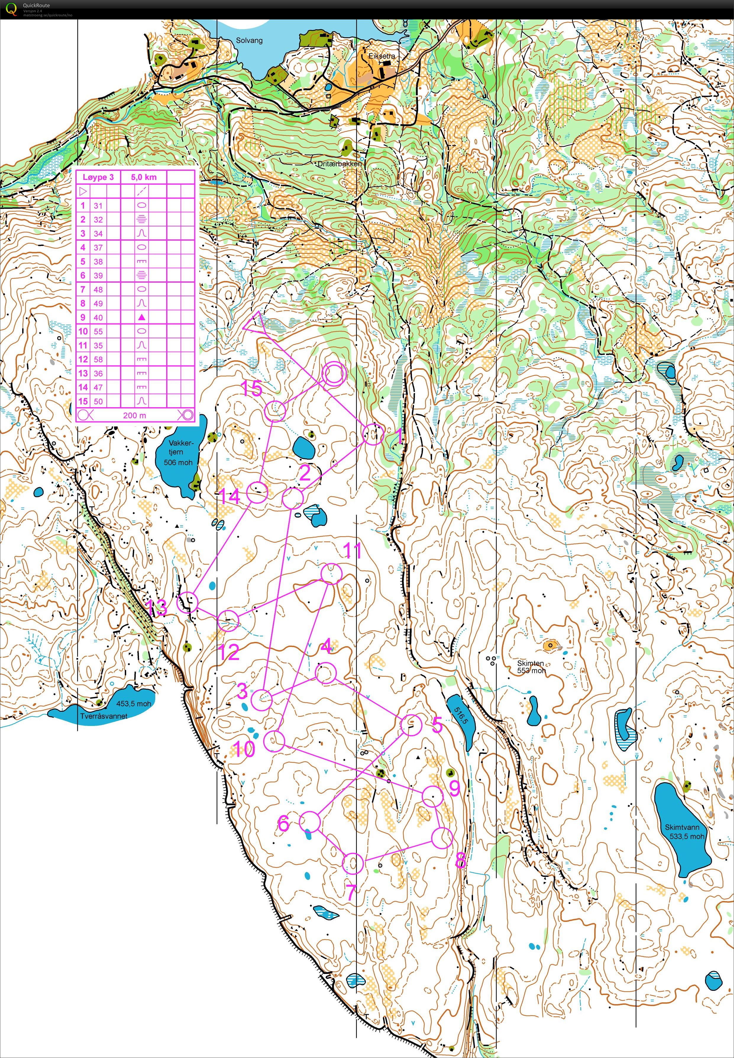 Trening Skimten uten myrer og stier (11.06.2013)