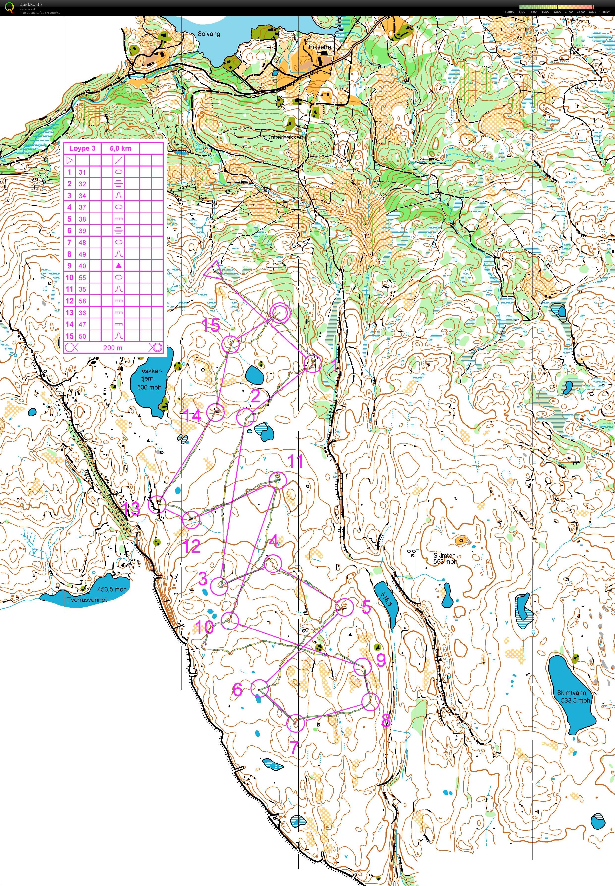 Trening Skimten uten myrer og stier (2013-06-11)