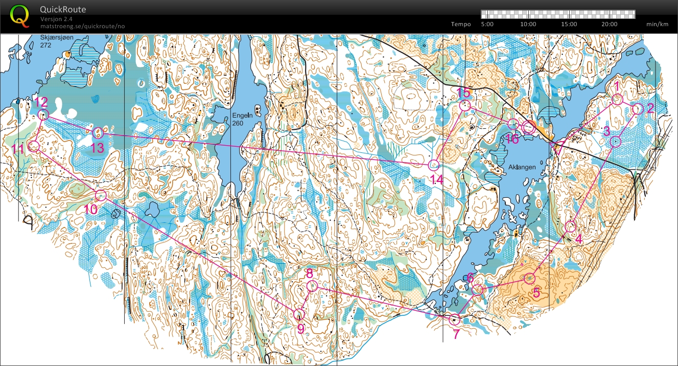 Holleia Høstløp D19A (04/08/2013)