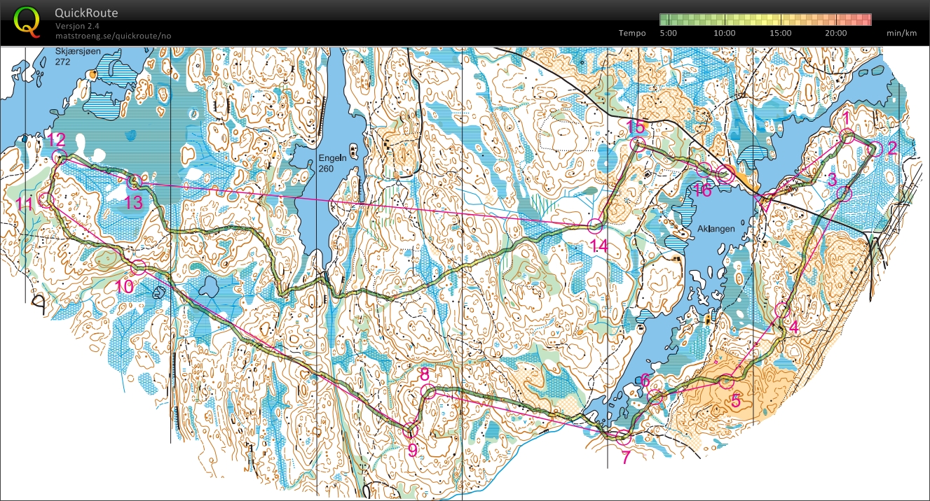 Holleia Høstløp D19A (04/08/2013)